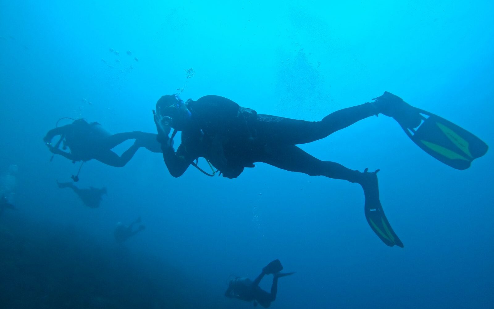 Asistente de instructor apoyando una clase de buceo, curso Assistant Instructor