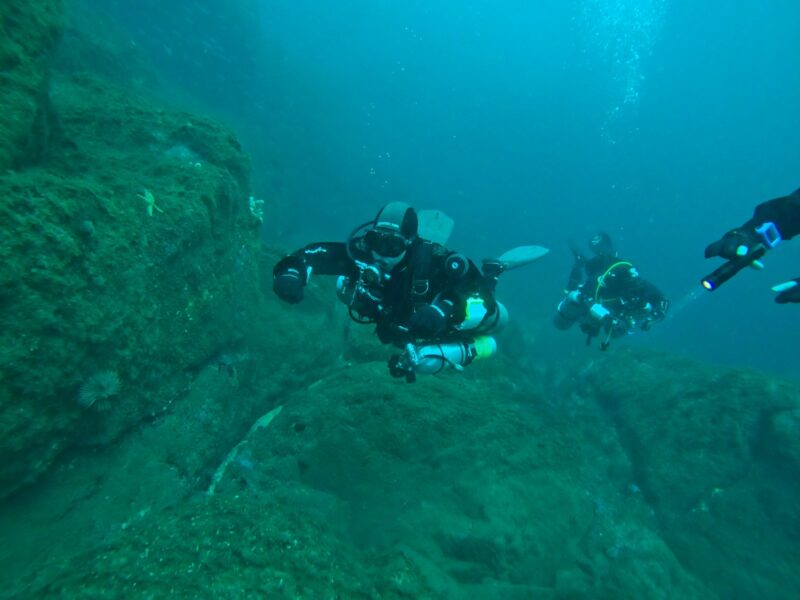 Instructor de Navegación
