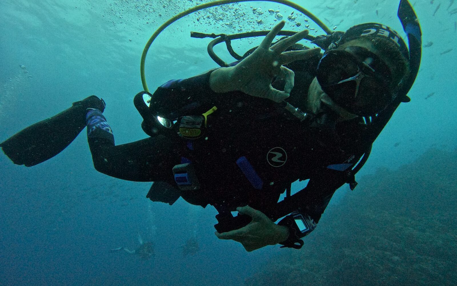 Instructor técnico en la etapa final de la progresión, curso Tec 50 Instructor