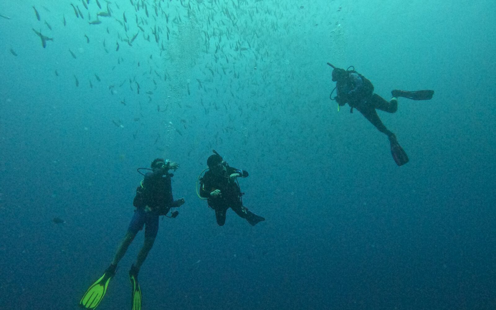 Buzo usando brújula bajo el agua durante la especialidad Navegación Subacuática