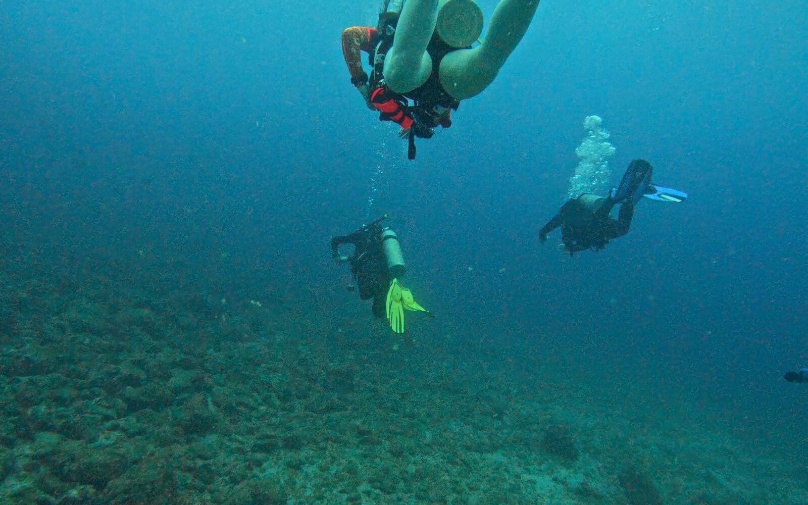 Instructor acompañando a un buzo con necesidades adaptativas, especialidad Técnicas Adaptativas