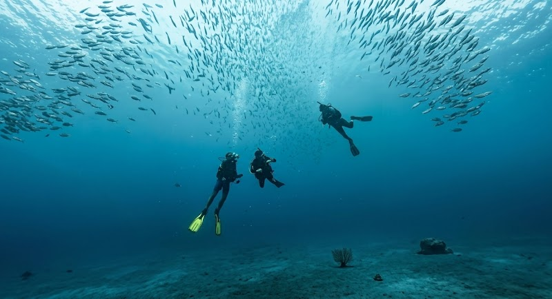 Rescue Diver